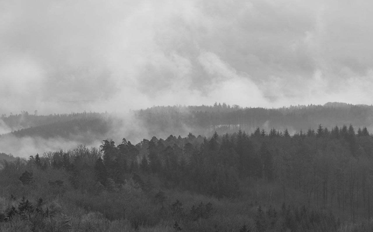 河南最新雷电现象揭秘,探索自然力量的神秘面纱