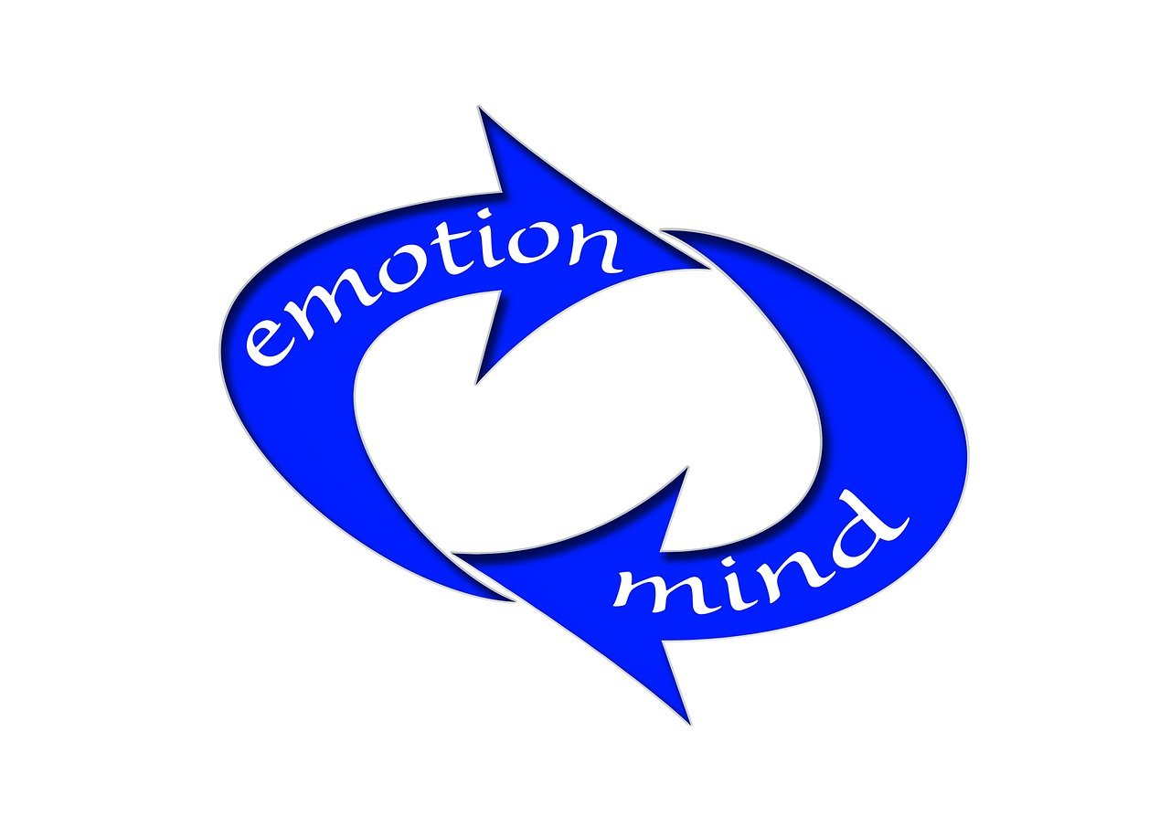 国产最新哈佛,创新发展的时代典范