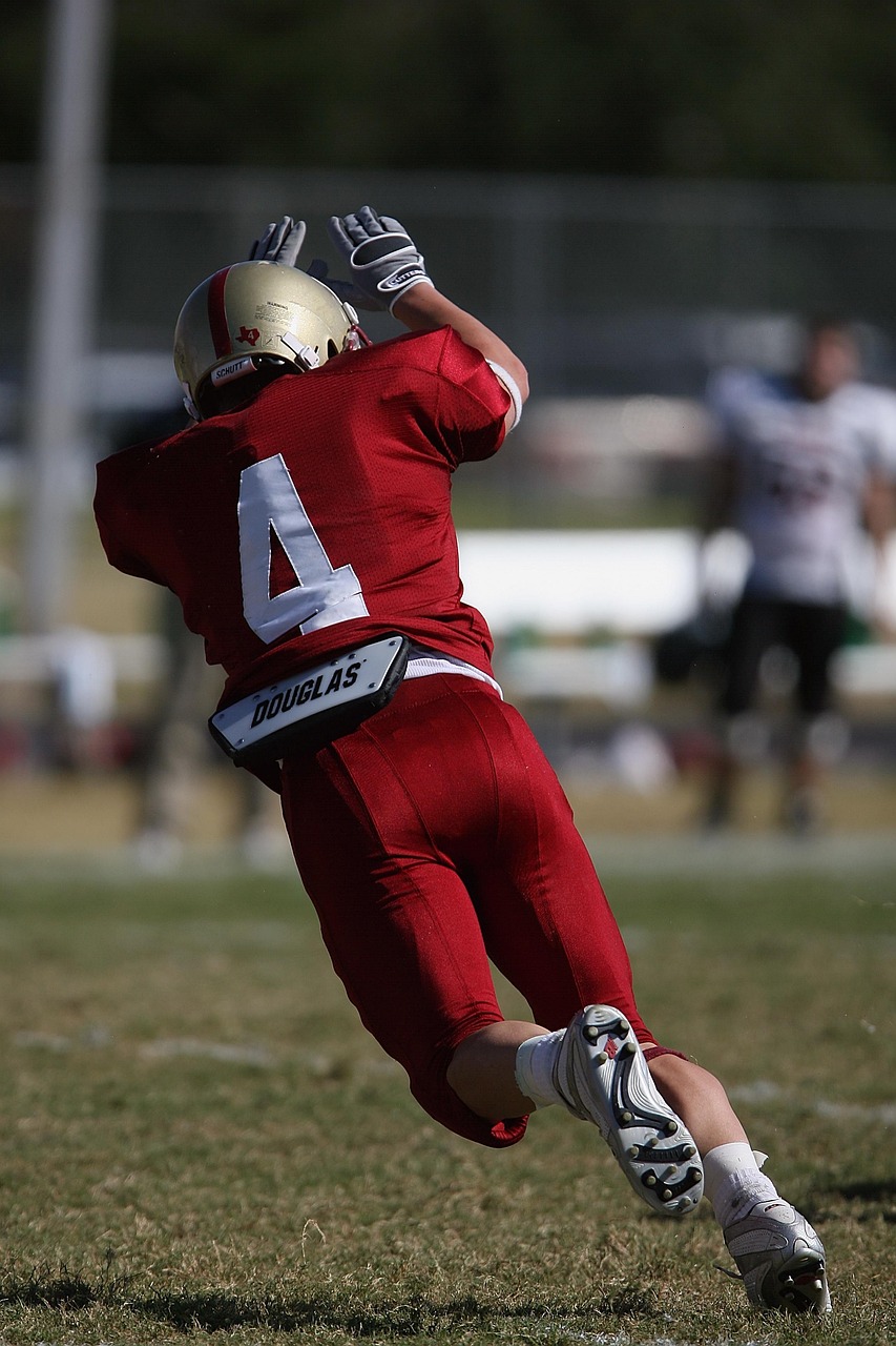 加拿大入境最新资讯概览,最新动态与要点解析