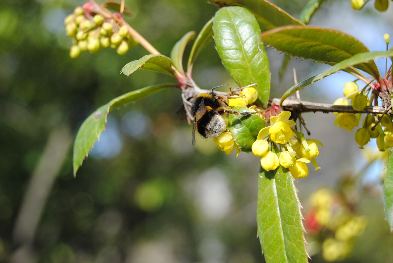 水果价格牌,市场动态的风向标