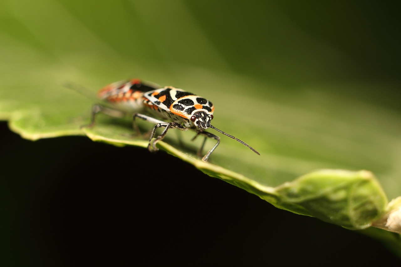 黄岛实时天气动态查询,助力生活规划与安排