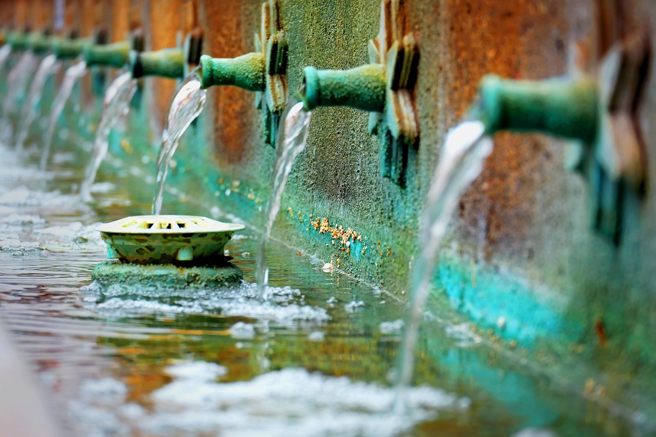 四川网约车最新动态,行业变革与发展趋势