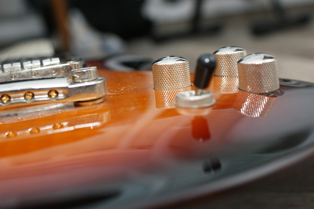 最新贝壳甲研究与应用进展