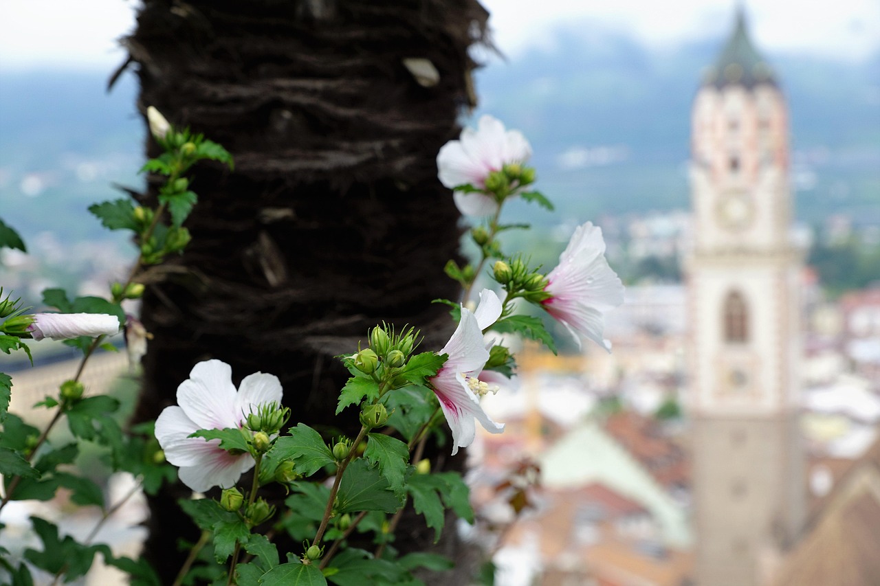 赫赛莱新动态,引领创新突破,展望未来发展