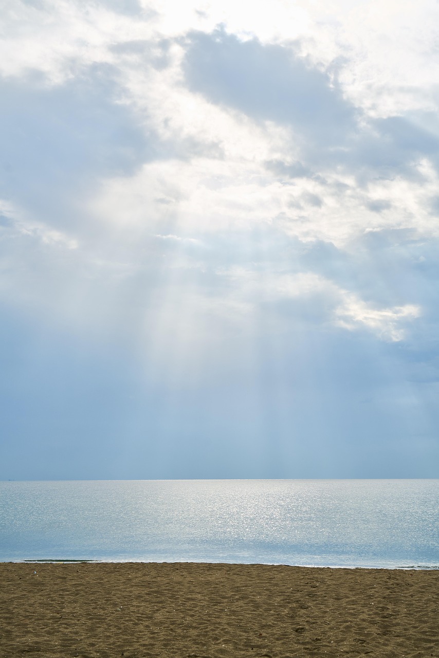 张杰2017最新动态，音乐之旅开启全新篇章