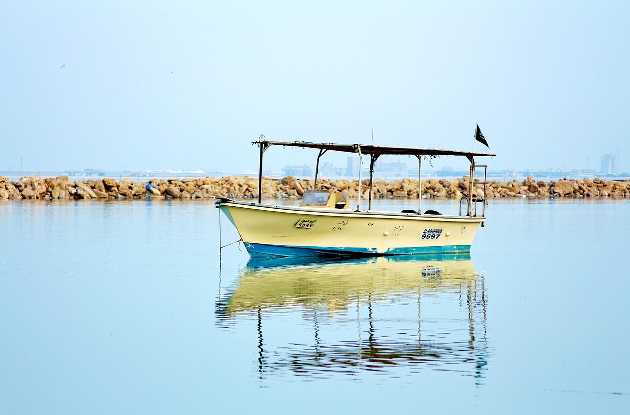 张杰2017最新动态,音乐之旅开启全新篇章