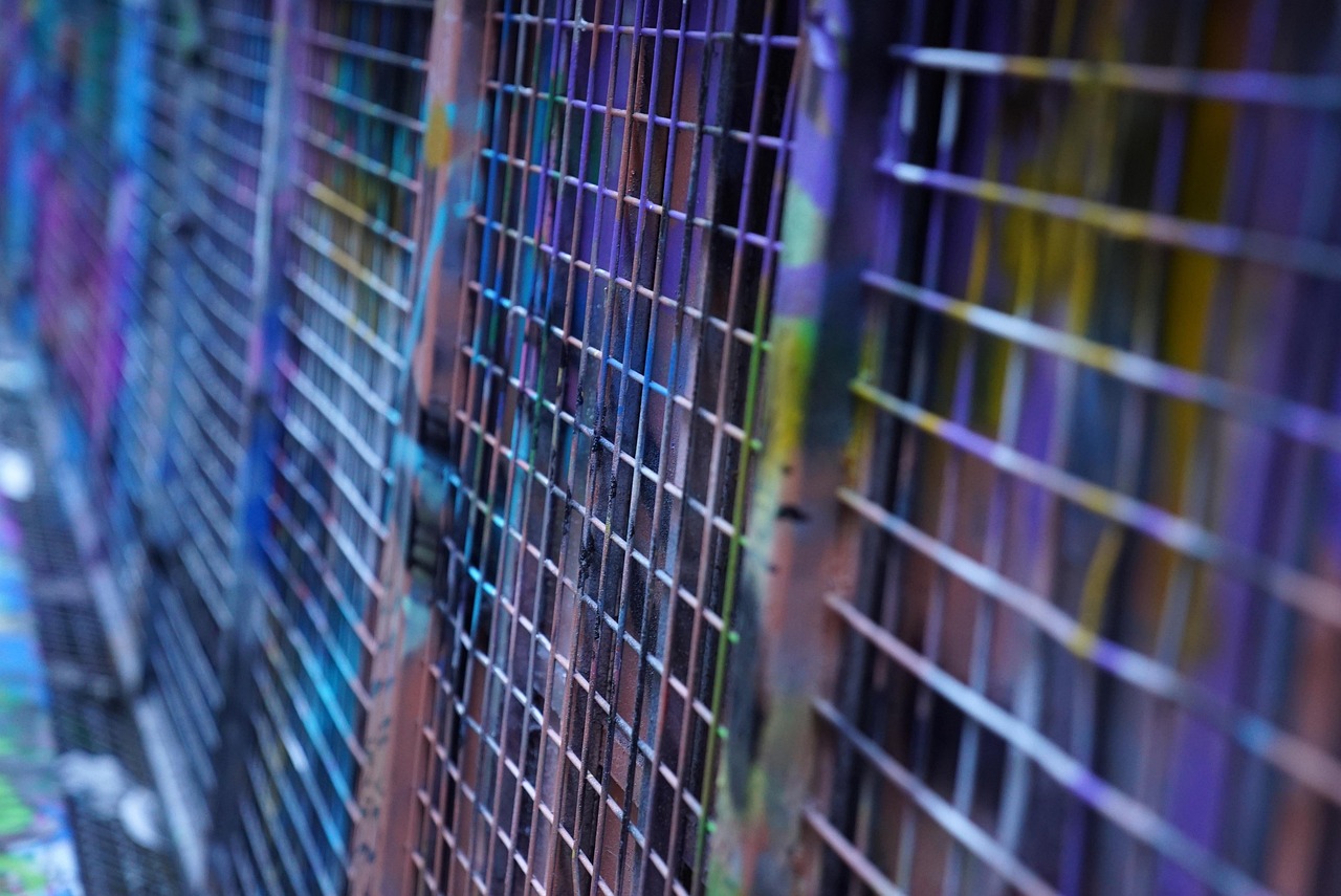 最新UED动态,设计领域的创新与发展进展