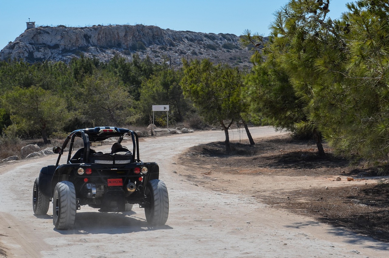 最新过山车资讯,速度与激情的完美融合之旅