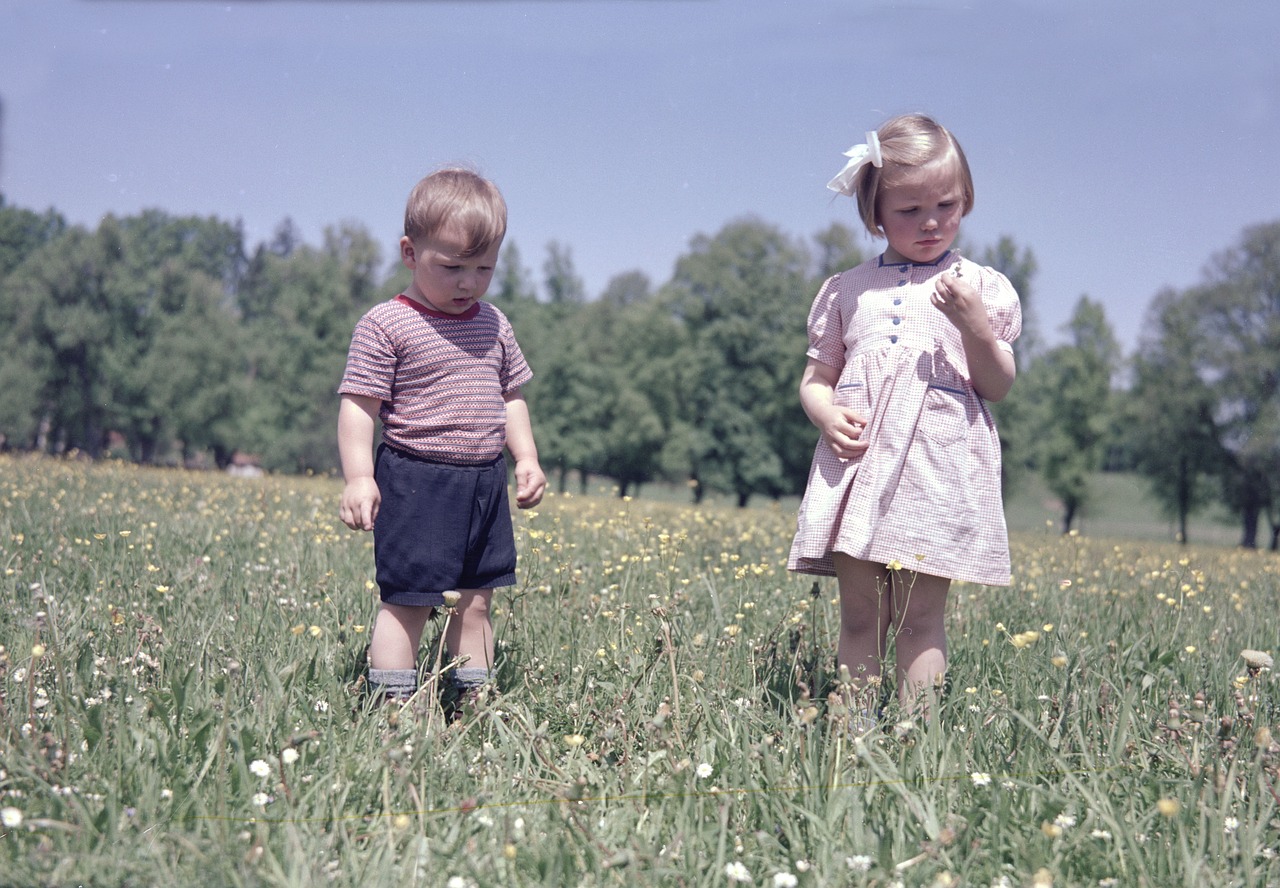 全家福动漫图片，温馨记忆与创意表达的美好瞬间
