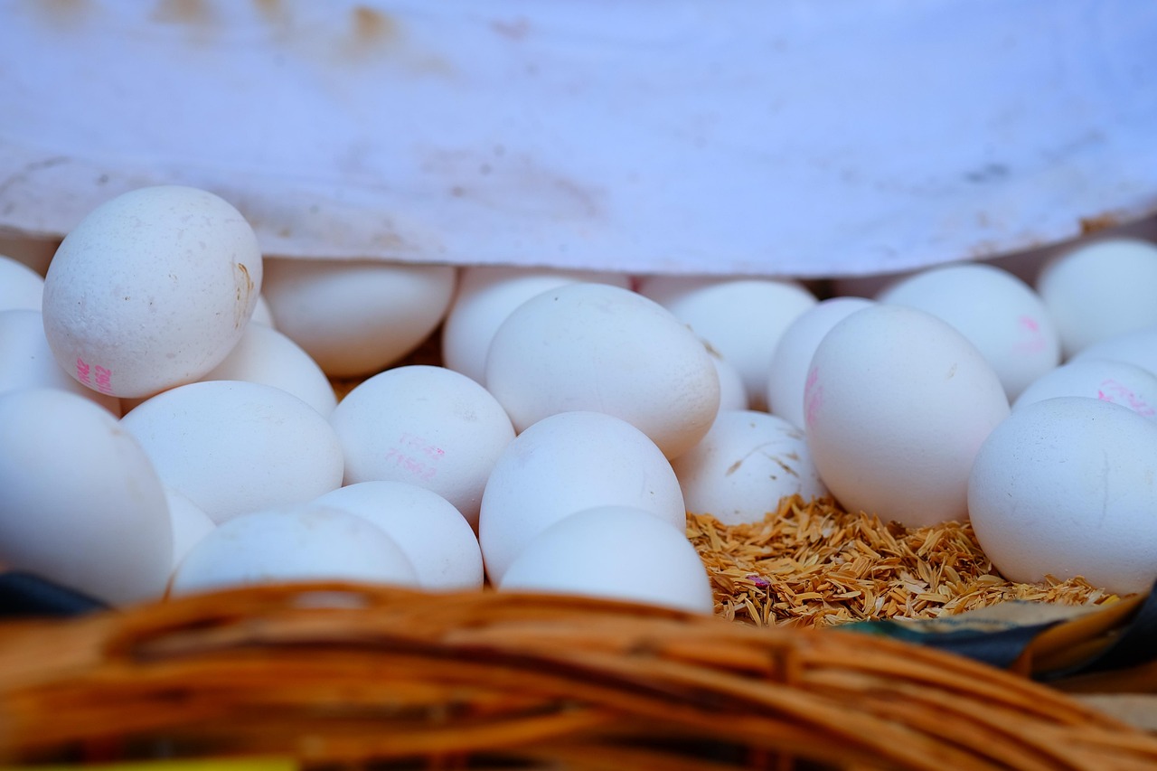 仁寿城北房价走势揭秘,最新动态、市场趋势与未来展望全解析