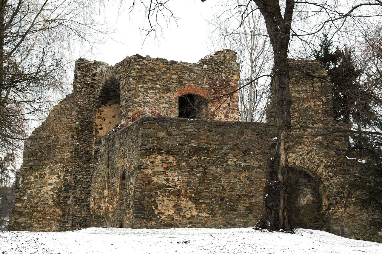 大理最新招标公告详解及招标动态更新