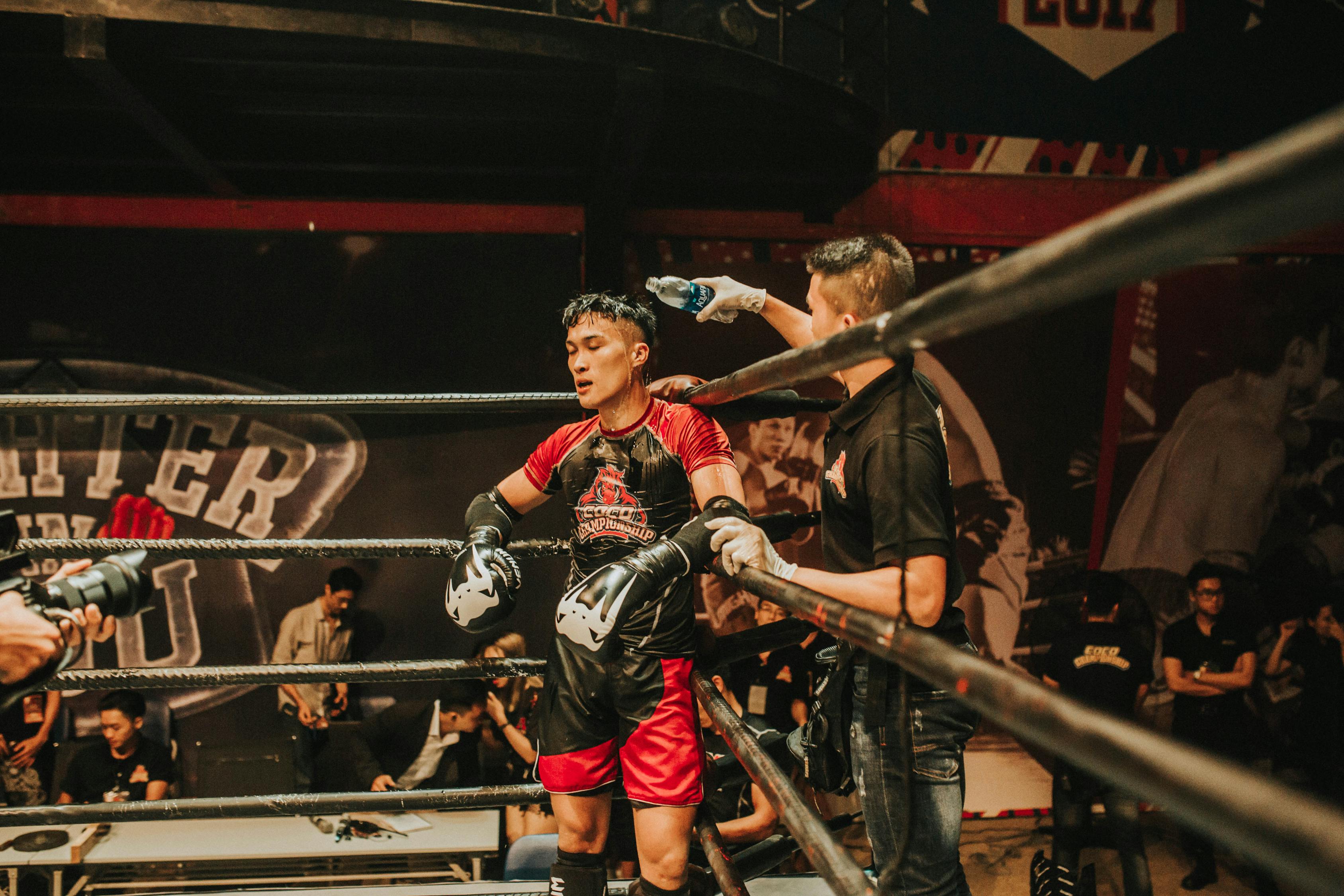 王牌战争全新版本，革命性的游戏体验上线！