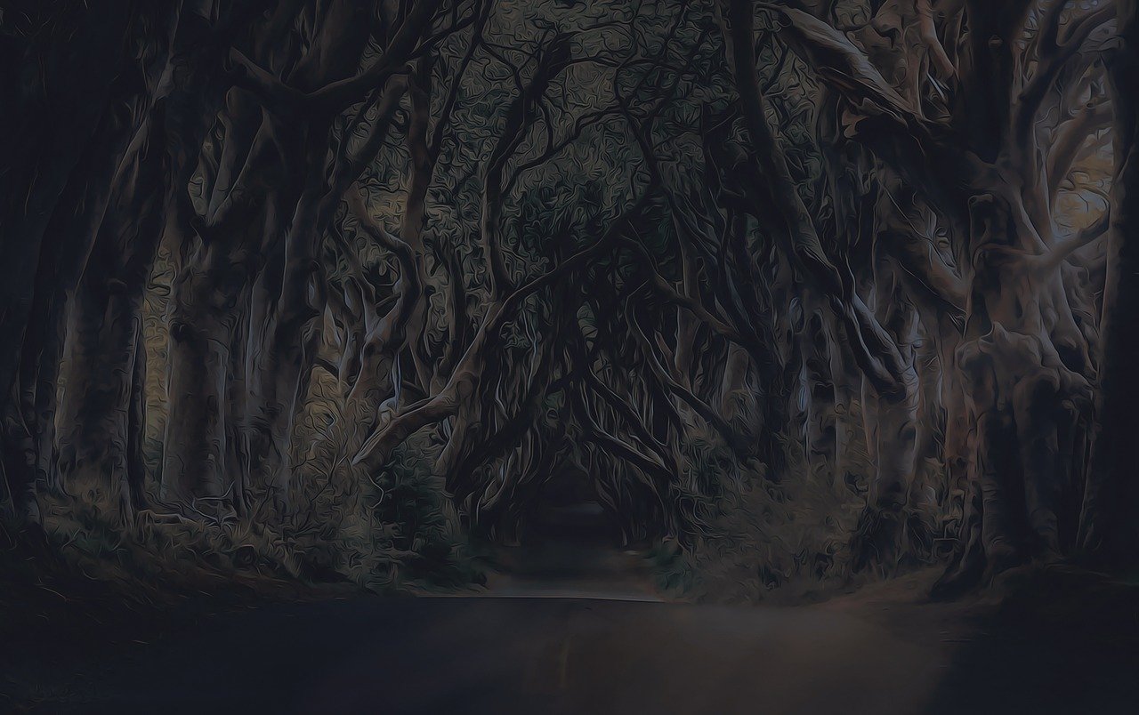 揭秘最新地址一二三,探索数字世界的神秘之旅(附最新地址)