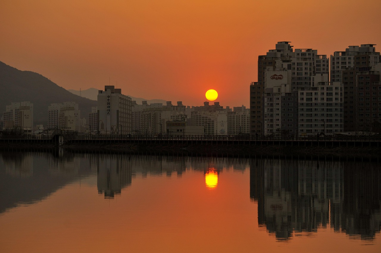 蔡甸最新资讯概览，最新动态一网打尽