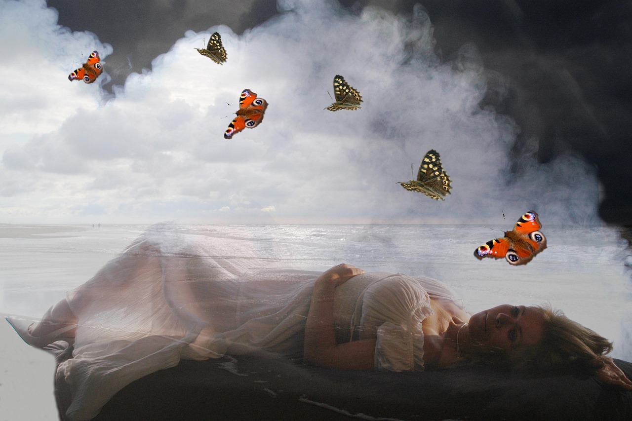 九鹭非香最新作品揭秘,奇幻与现实的完美交融之旅