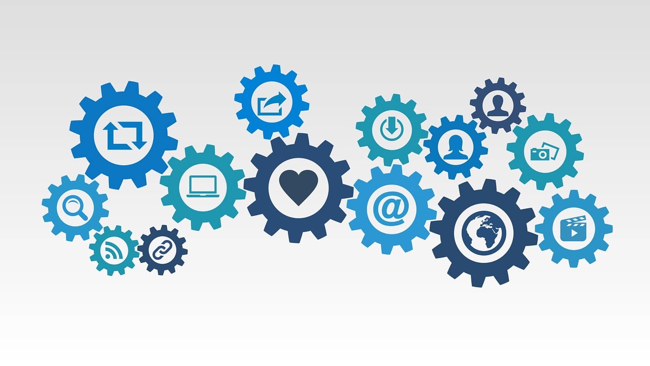 股票行权，含义与重要性的深度解析