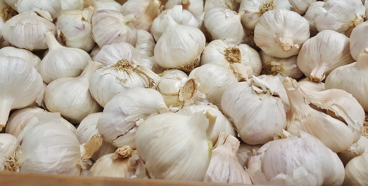 海南大蒜最新价格行情及分析