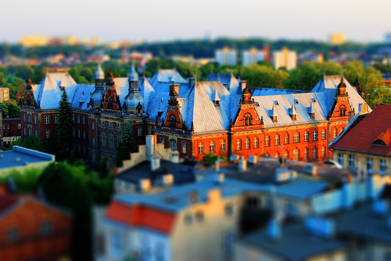 花旗参价格概览及市场趋势分析，价格表与市场动态解析