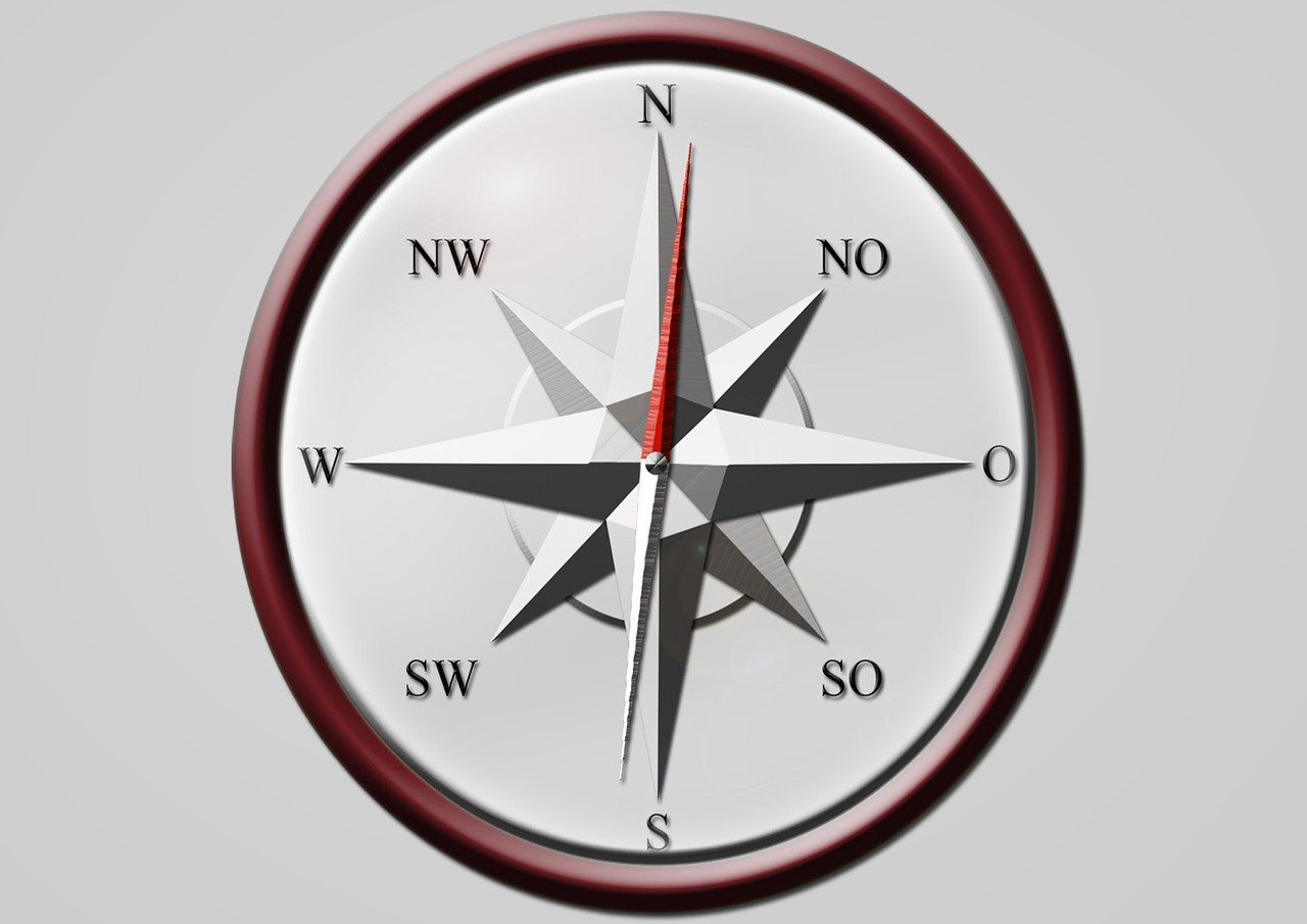 洛佩西最新动态,展现时代潮流与多元风采