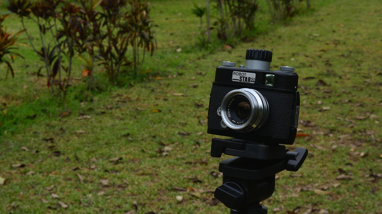 谢霆锋2016最新动态,音乐影视双栖明星的全新征程揭秘