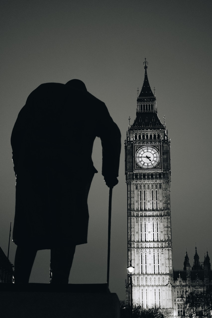 叶子媚最新动态揭秘，探索无限可能的旅程之旅