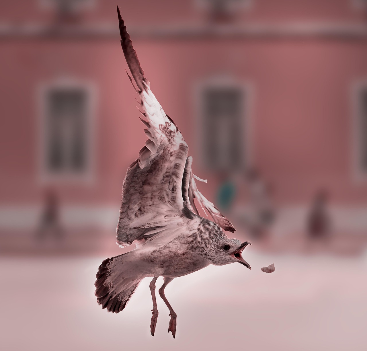 亨氏肉泥最新动态引领辅食创新,满足婴幼儿营养需求新突破