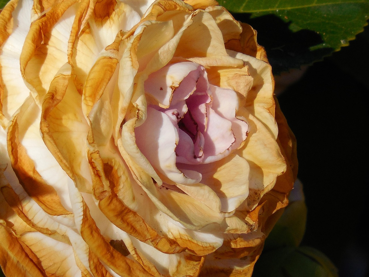 鸡鸣三省景区展现独特魅力,最新动态揭示活力焕发新篇章