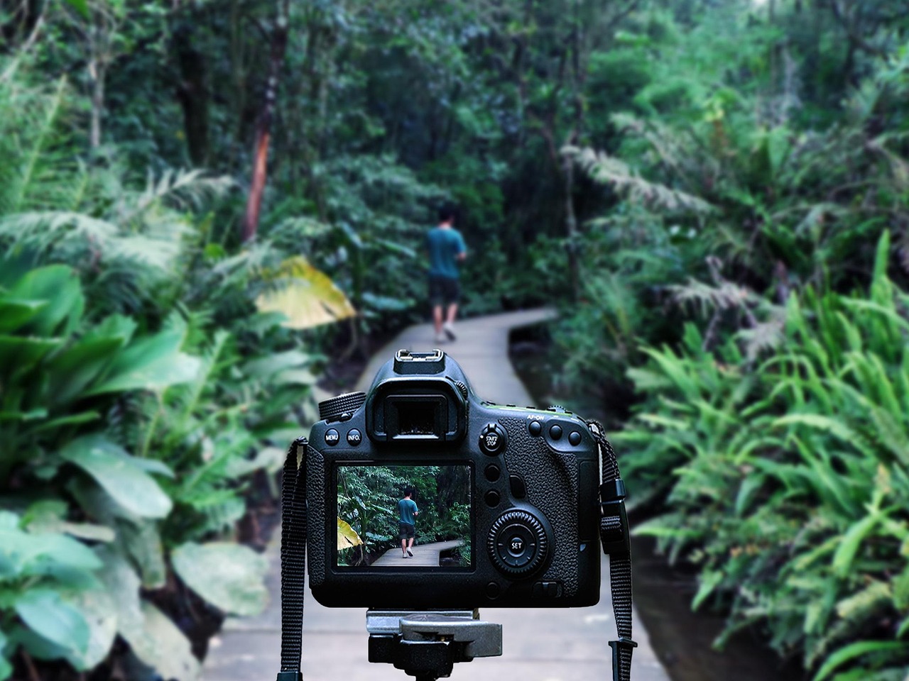 李瑞小卡,音乐与艺术融合之旅的最新动态