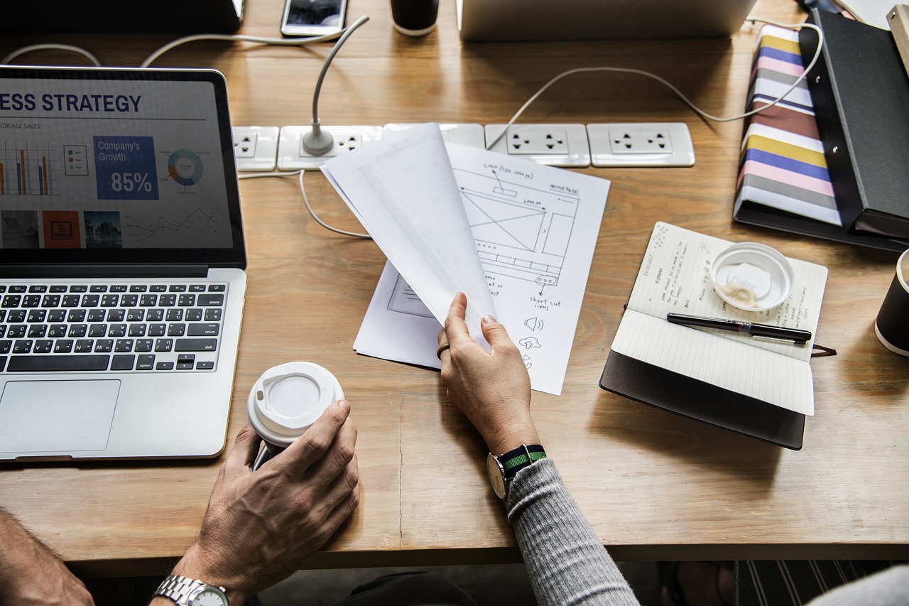 白菜行情分析,市场走势及影响因素探讨