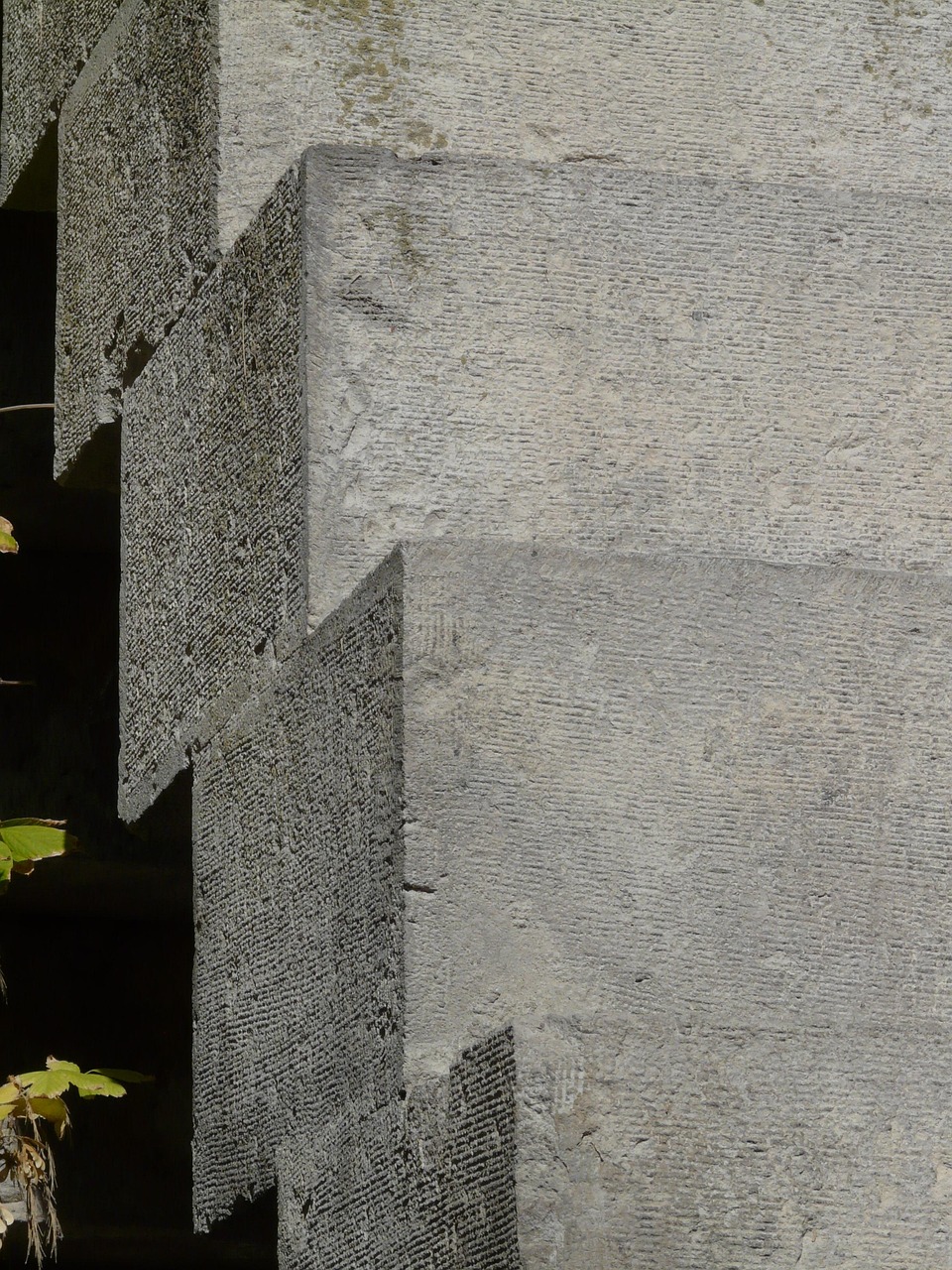 拳坛新势力崛起,引领变革,最新动态抢鲜看