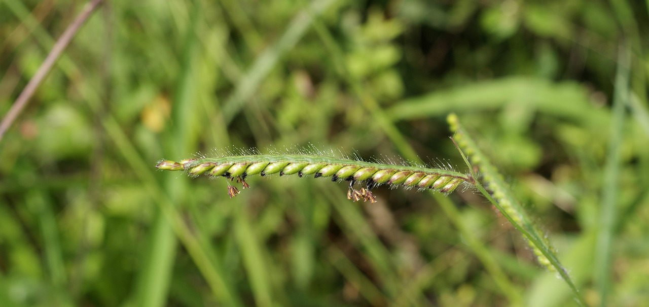 黄金价格变化，影响因素、市场动态全解析