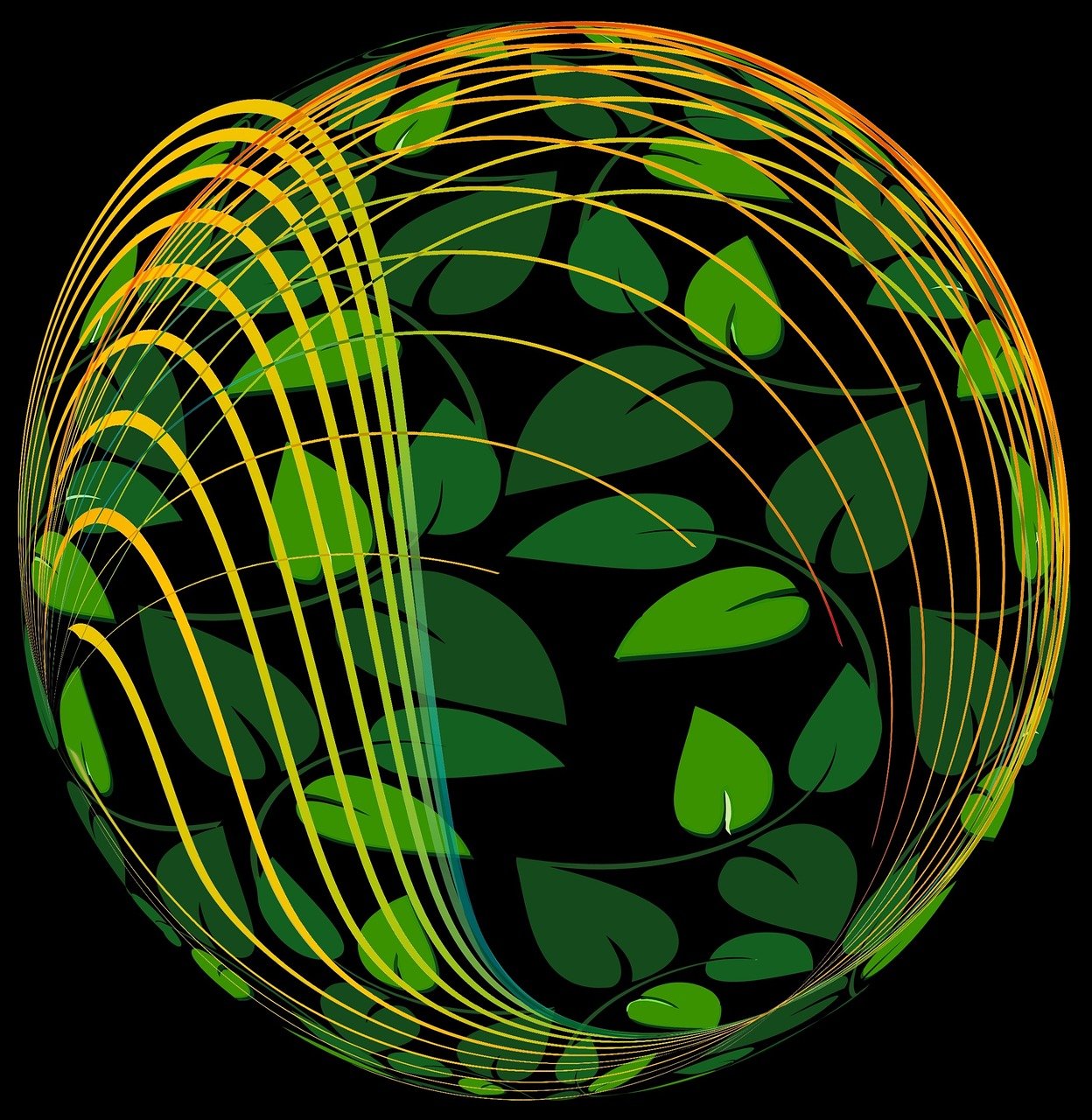 全球最新富豪实时排行榜揭示财富格局变迁