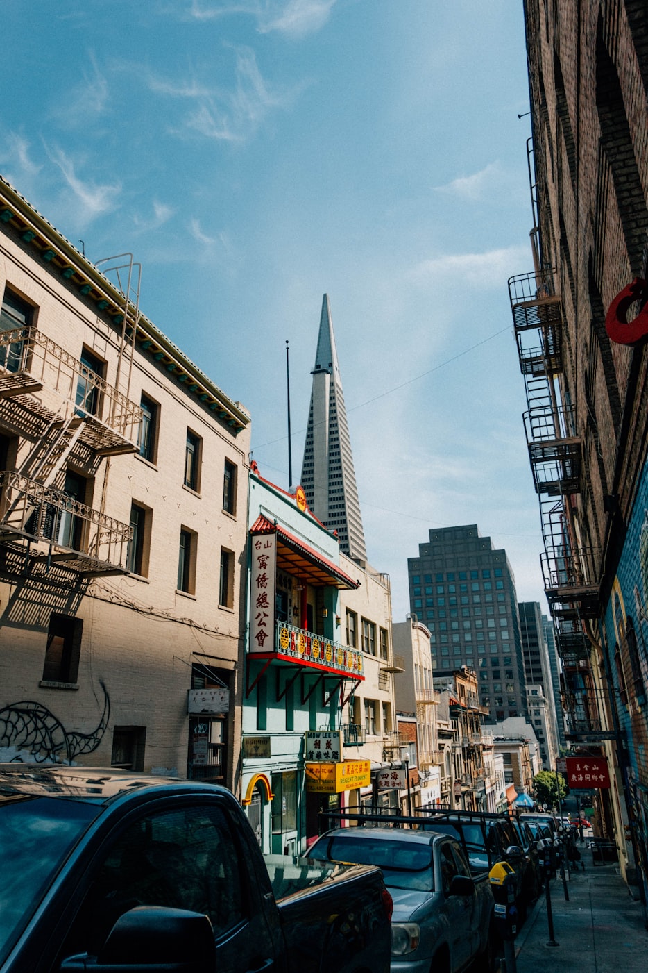 胖龙最新动态,多元领域探索与全新风貌展现