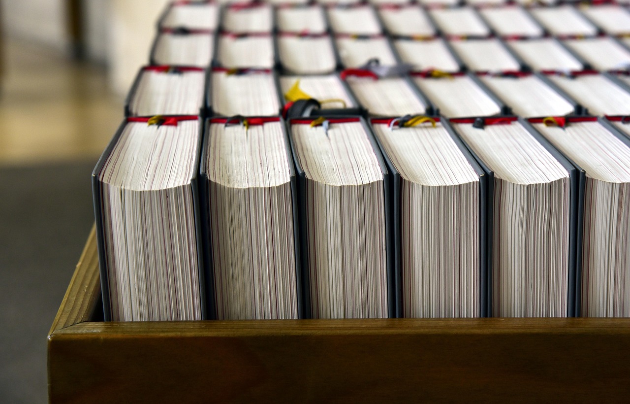 科比2017年传奇延续与新篇章开启的动态