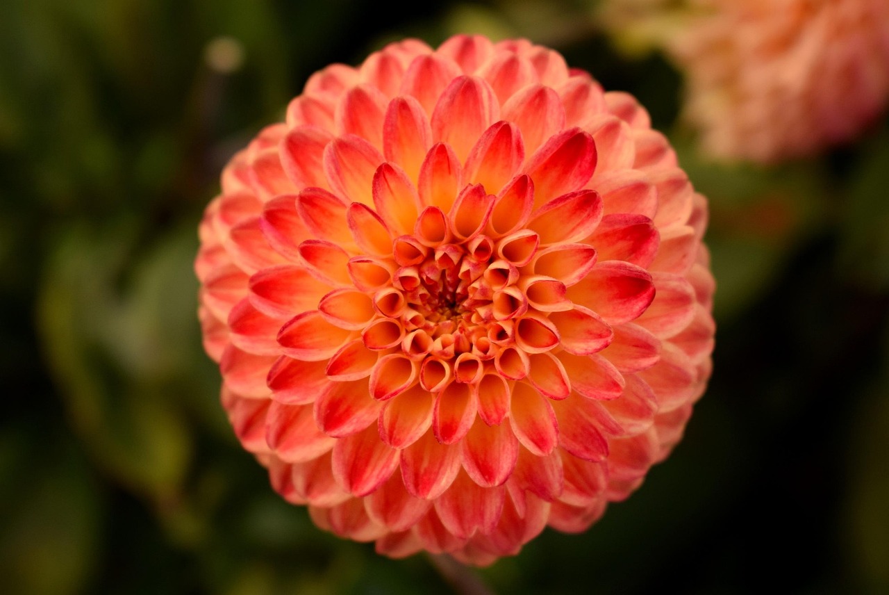 舟山人事任命最新动态,引领未来,共筑发展新篇章的启航之路