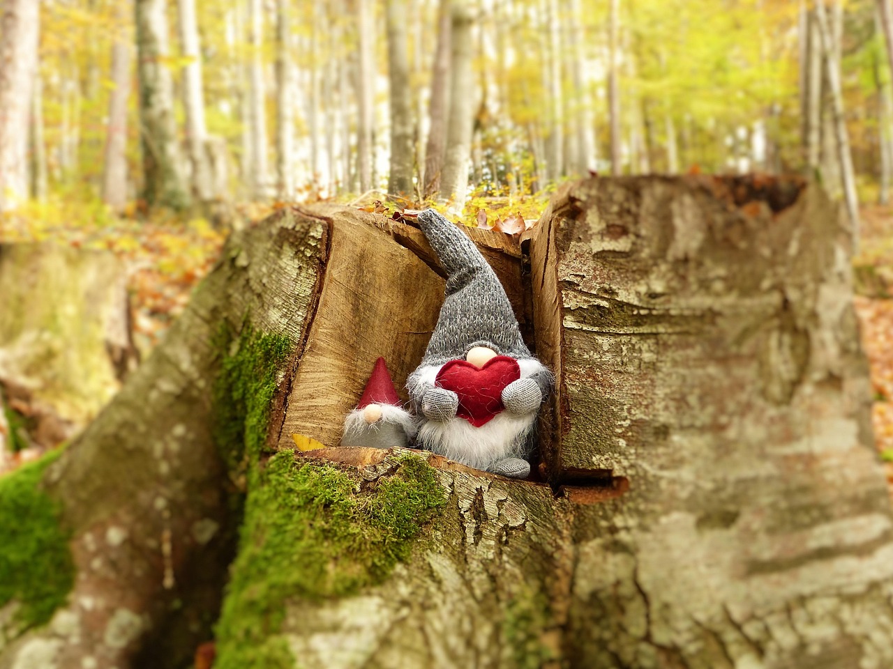 李保国电影，时代精神与感人故事的完美融合