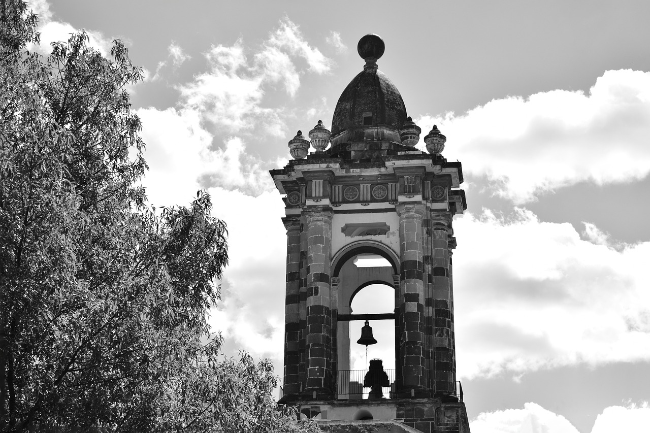 最新轻量化货车报价及市场动态分析概览