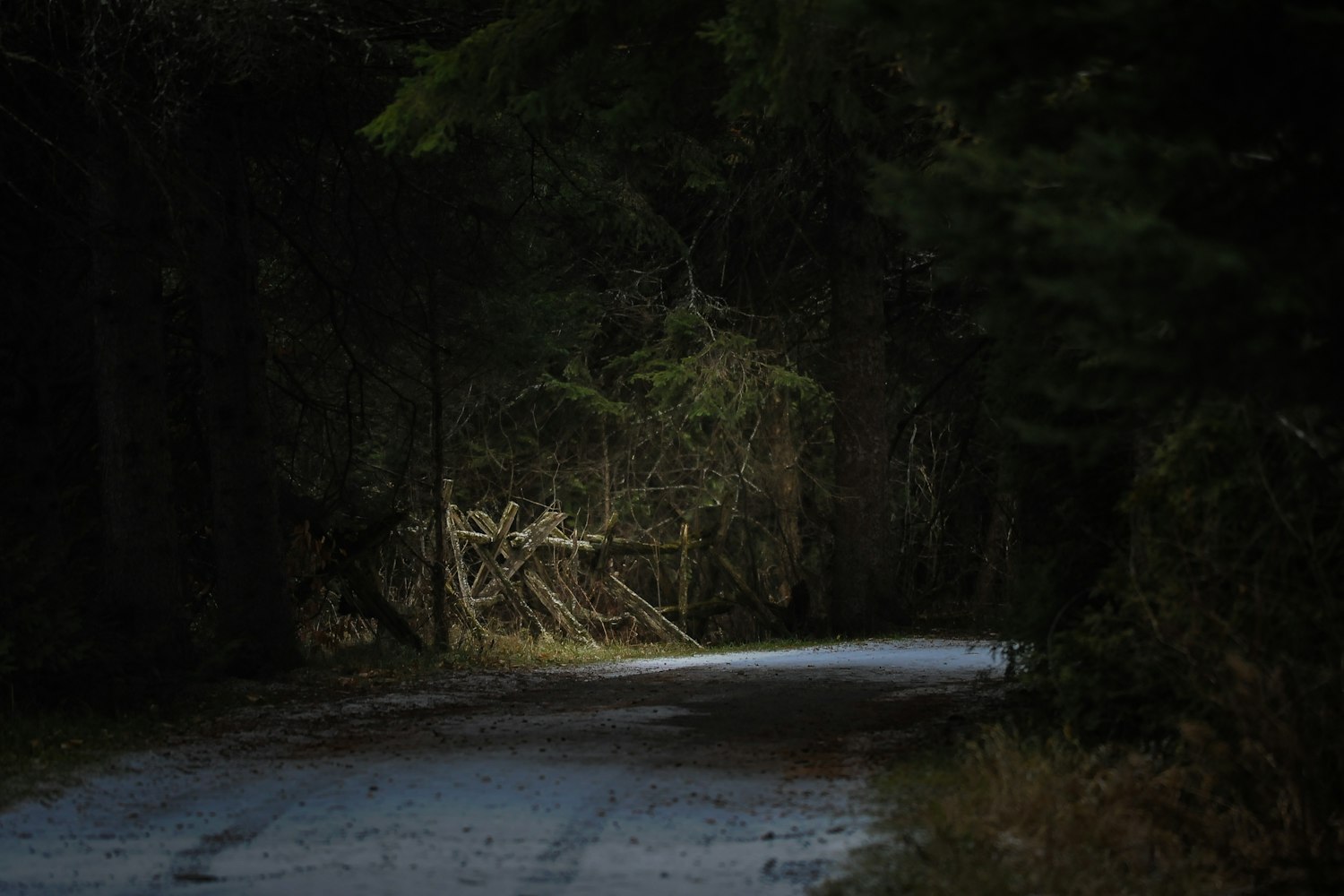 最新奇幻季,神秘之旅的未知世界探索
