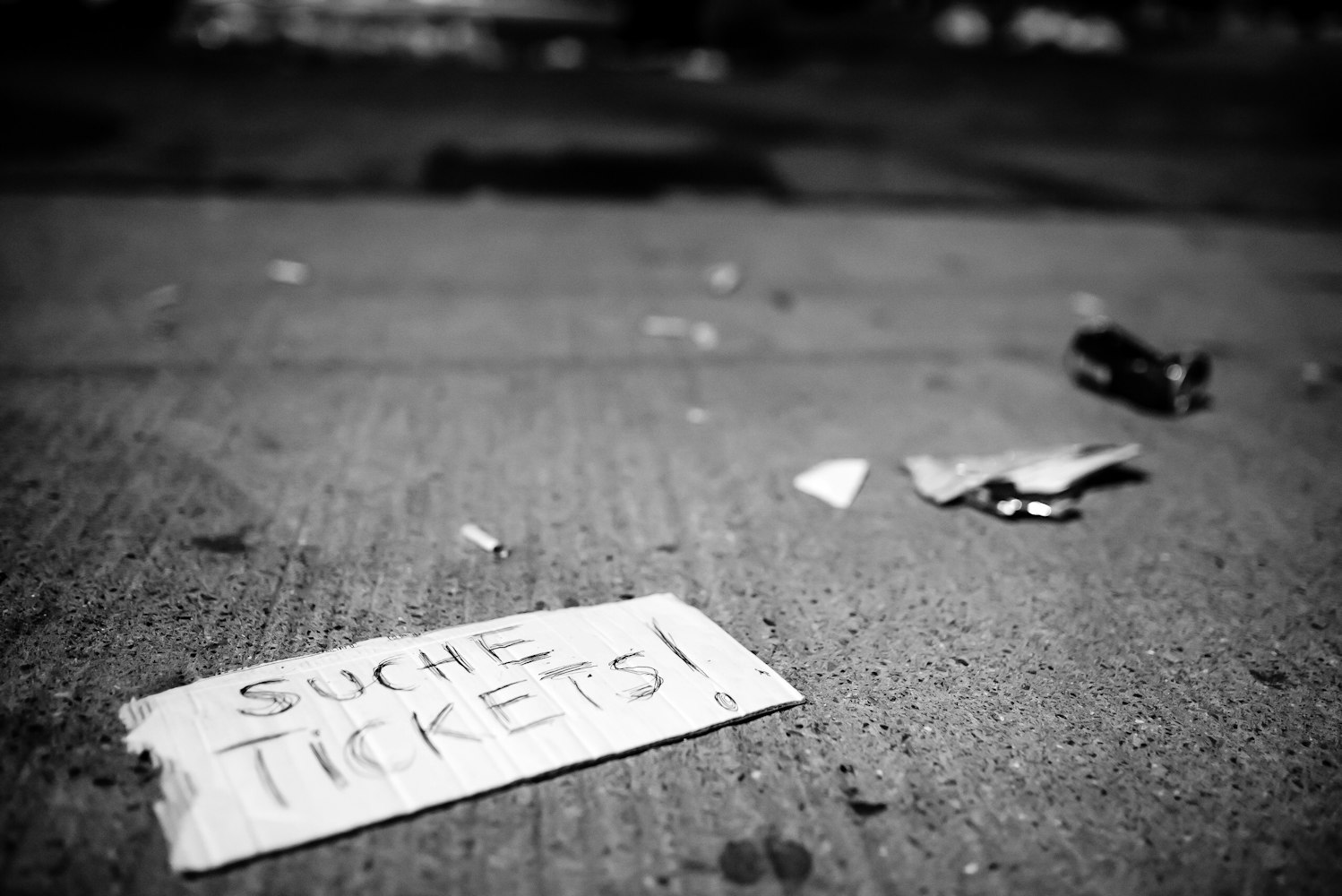 郑书新篇,时代背景下的探索与突破之旅