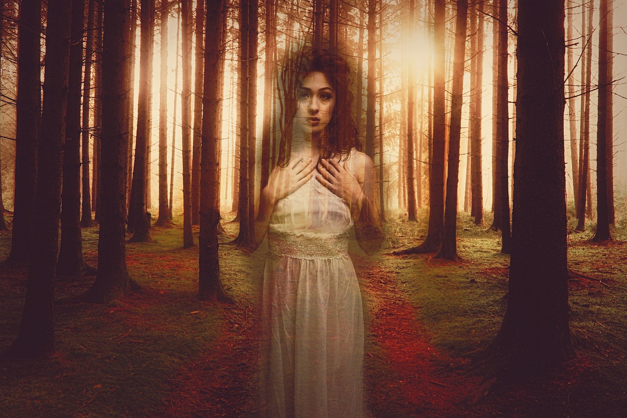 女性犯罪题材电视剧重塑女性角色的力量与深度新剧解析