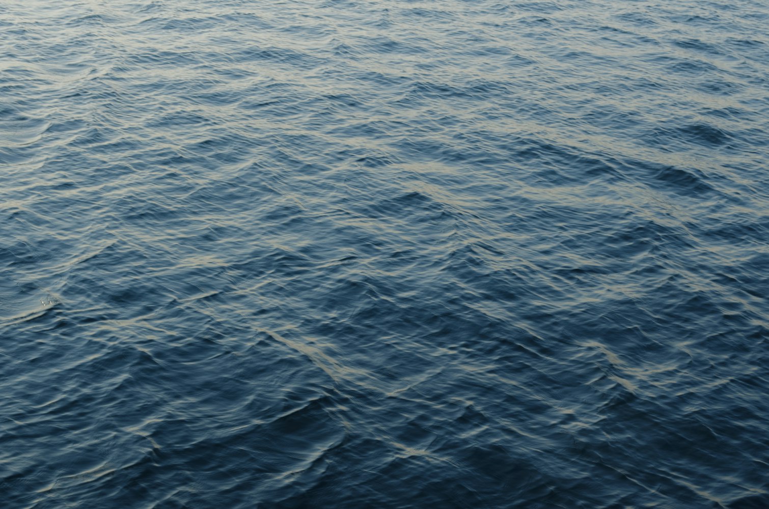 东方航空坠机事故最新进展深度解析与实时动态更新报告