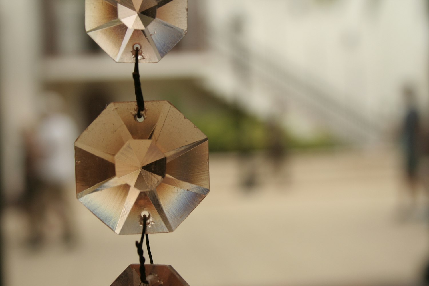 淄博文昌湖最新动态,城市绿色发展之光闪耀璀璨明珠