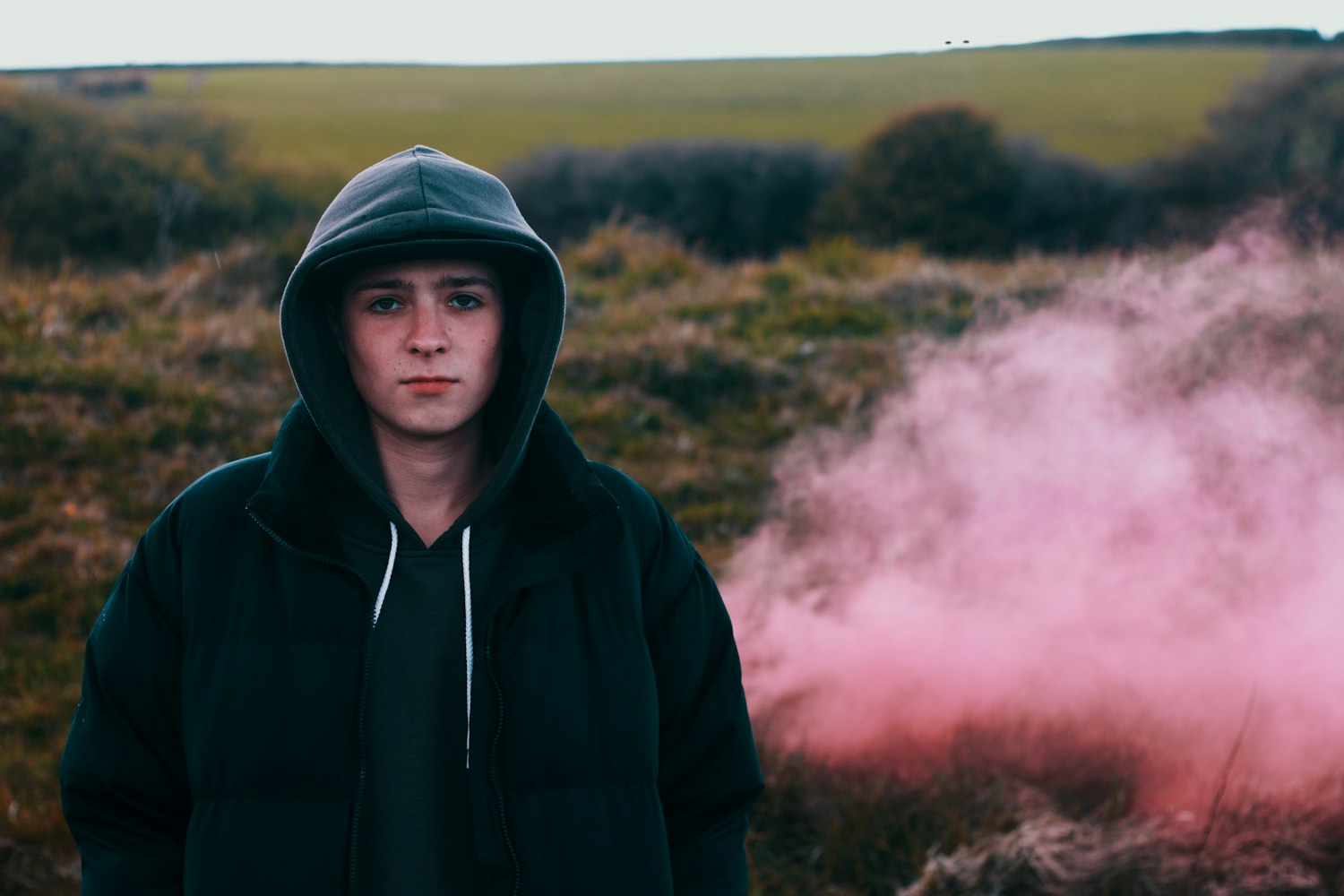 秋霞电影入口,探索电影魅力与情感交织的世界