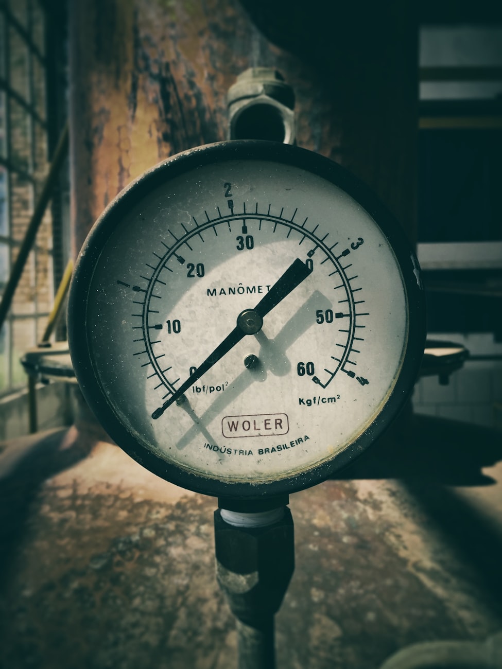 新都最新动态,城市脉搏与时代前沿同步更新