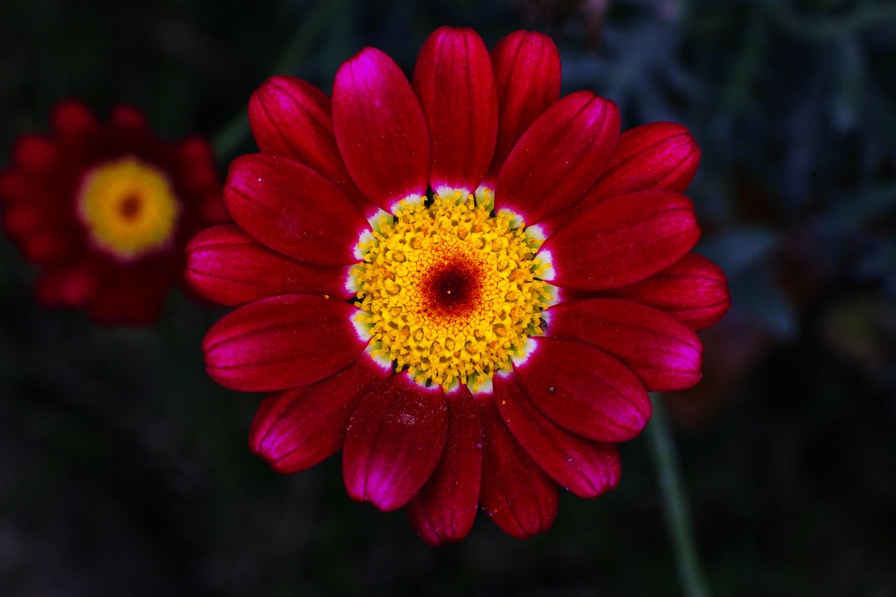 最新秒批资讯速递,掌握时事动态,资讯更新无延迟