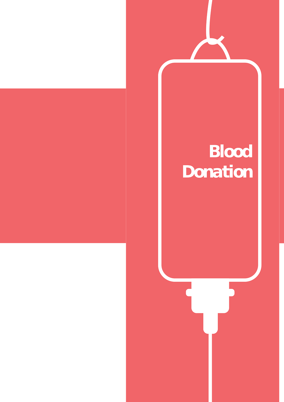 电解铜最新报价与市场动态分析概览