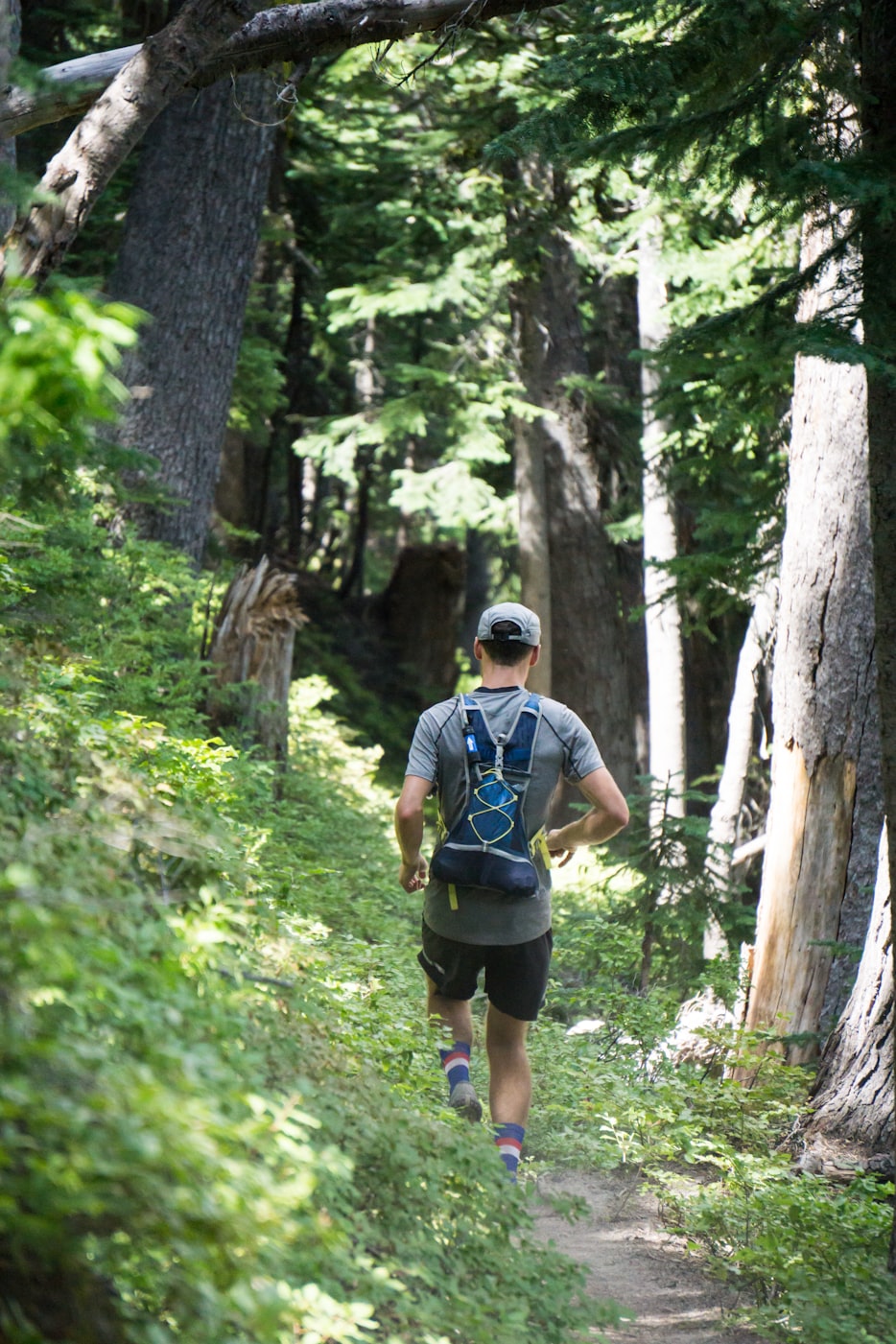 南宁三塘地区最新职位招聘动态速递
