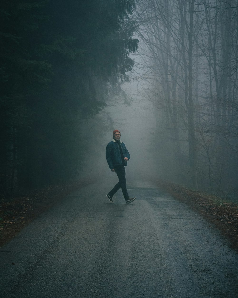 农业最新动态，引领农业现代化新浪潮发展