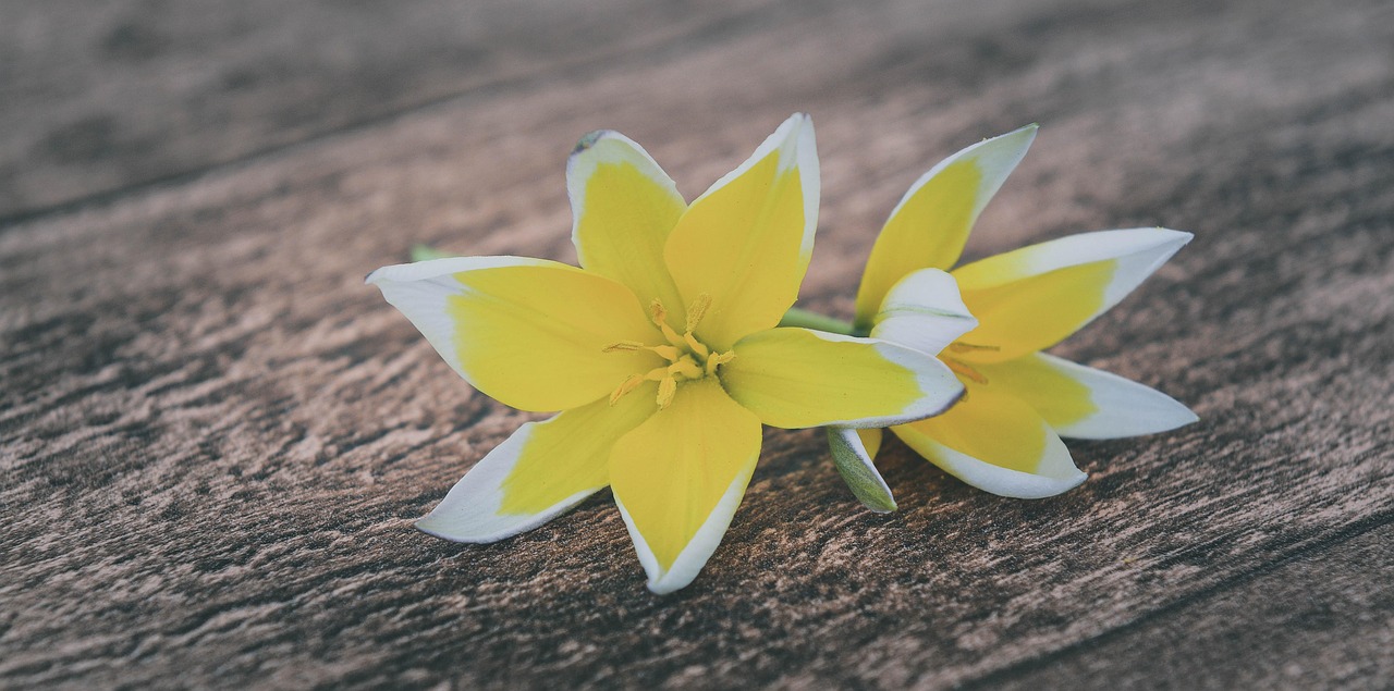 长乐最新资讯概览，最新动态一网打尽