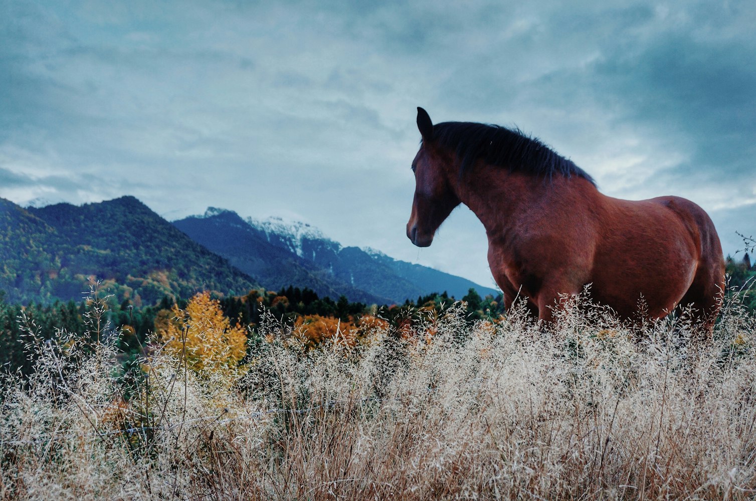 四环医药股价最新动态,市场走势分析与前景展望